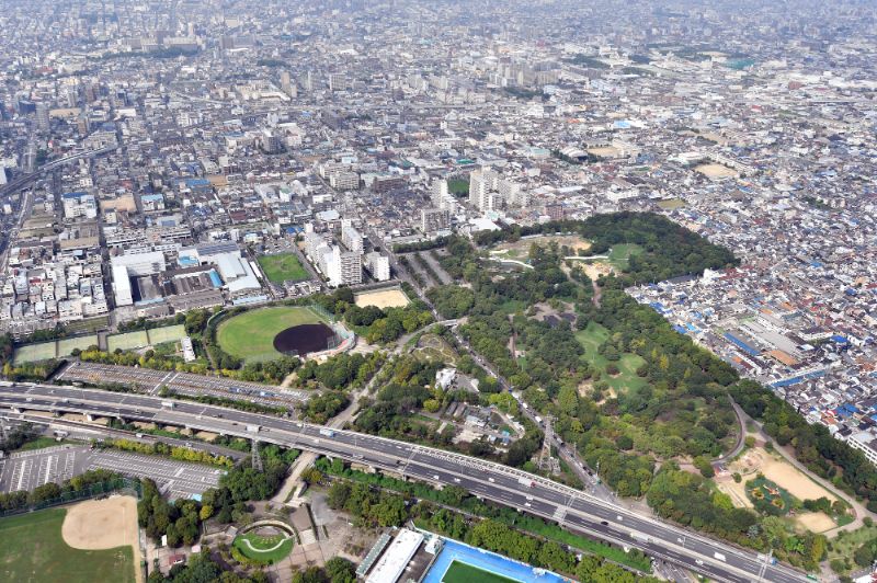 八尾市